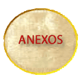 ANEXOS